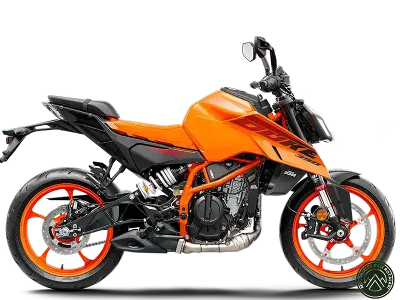 Bajaj Pulsar NS400 Z mi? Hangisi daha iyi
